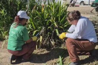 Praças de São José: Limpeza Intensiva para Espaços Renovados