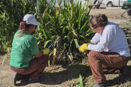 Praças de São José: Limpeza Intensiva para Espaços Renovados