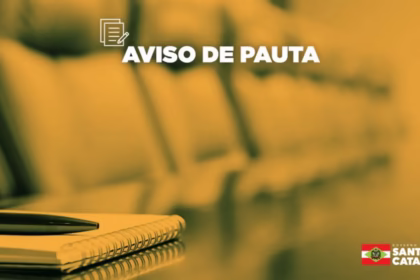 Dengue em Santa Catarina: Ações e Balanço Reveladores da SES