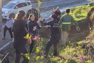 Operação Saturação: Transformação com Flores na Divisa de SC