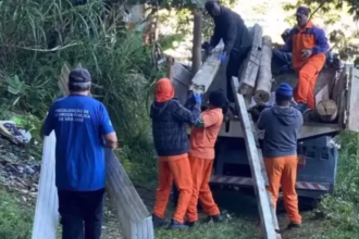 Prefeitura Remove Material em Área de Preservação no Bairro Serraria