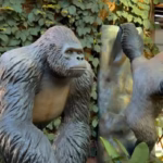 Réplicas de Animais Selvagens Transformam o Porto Belo Outlet!