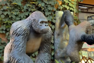 Réplicas de Animais Selvagens Transformam o Porto Belo Outlet!
