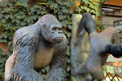 Réplicas de Animais Selvagens Transformam o Porto Belo Outlet!