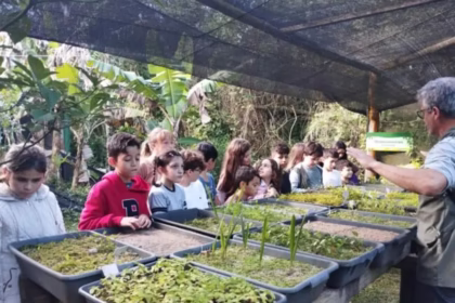 Bosque da Capivara Encantada: Sala de Aula Verde na Educação