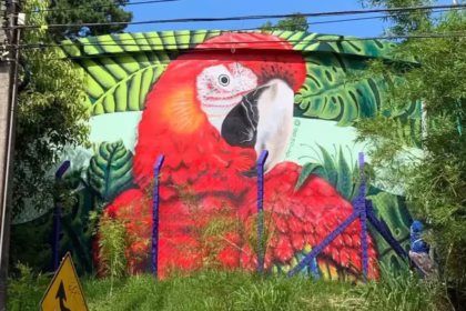 Grafites como Solução Criativa Contra Vandalismo em Unidades